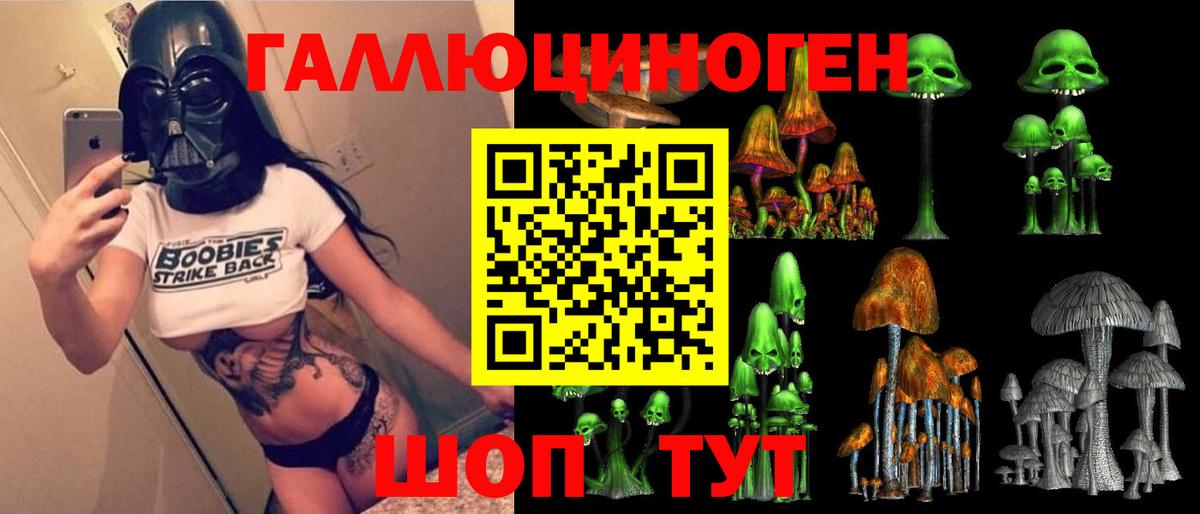 Псилоцибиновые грибы Psilocybine cubensis Ликино-Дулёво