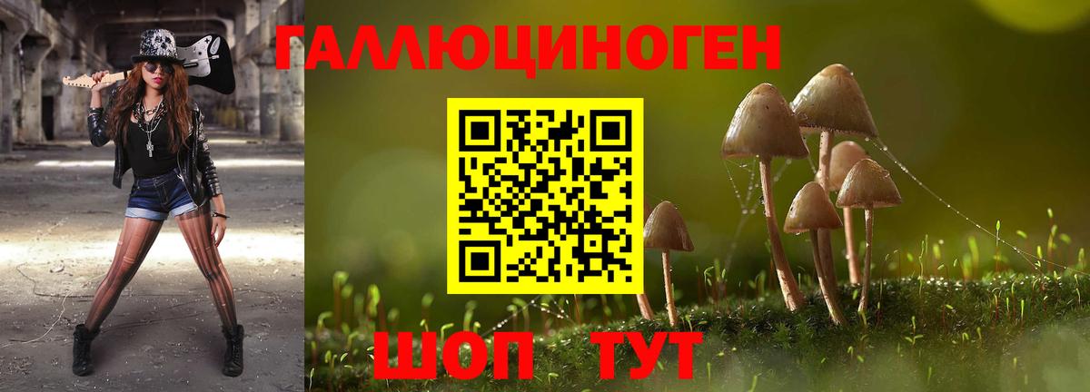 Галлюциногенные грибы Psilocybine cubensis  Вход с VPN  Ликино-Дулёво  Галлюциногенные грибы Cubensis 